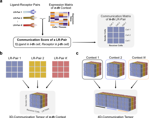 4dtensor