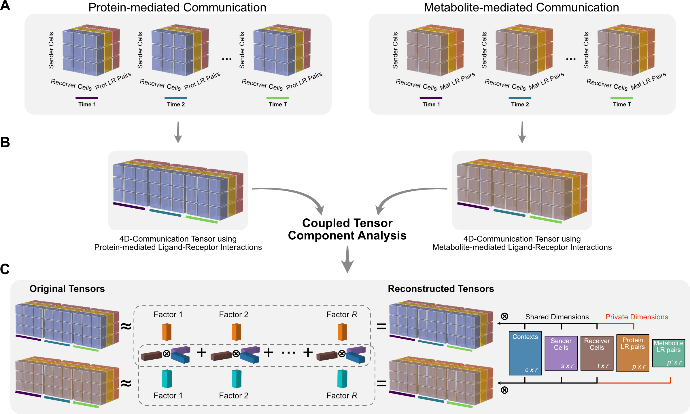 tensor-fact